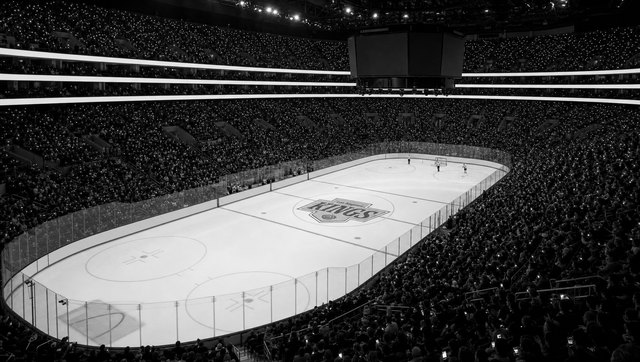 The full bowl at game lighting, the crest in the ice